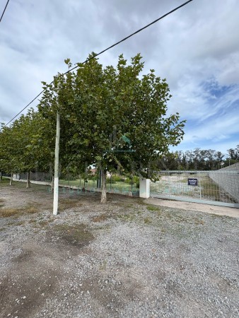 Importante Lote Ruta 88