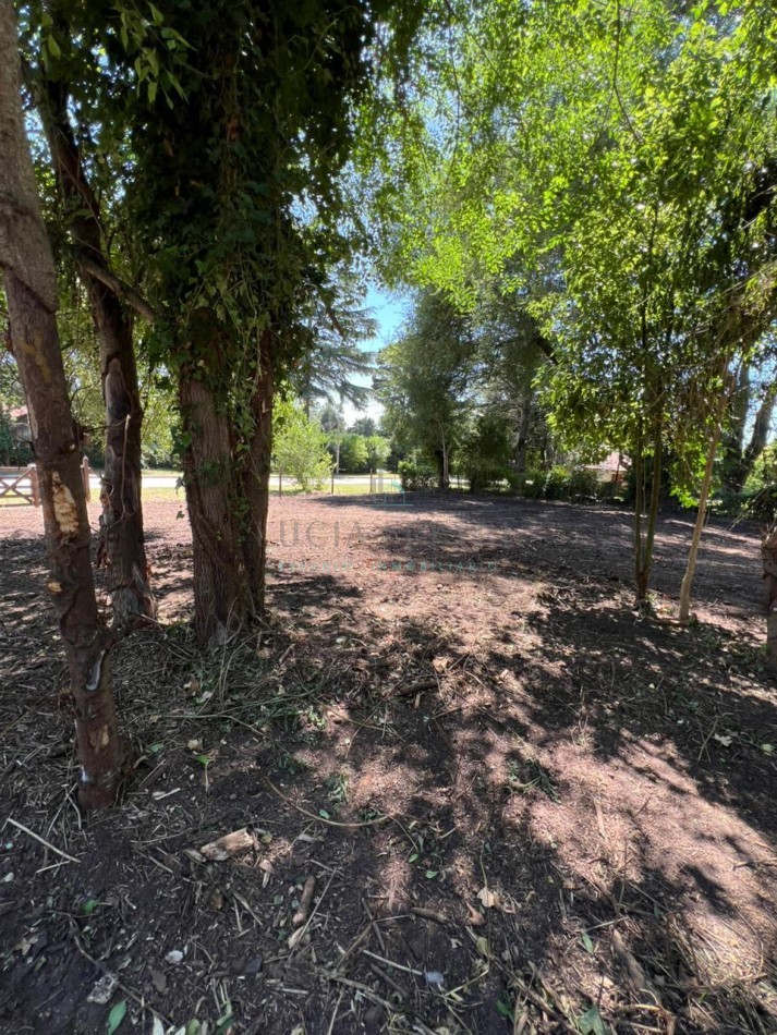 Lote en sierra de los Padres