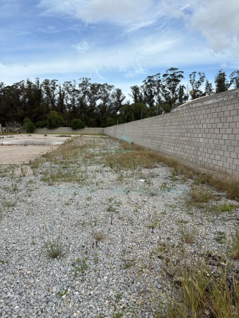 Importante Lote Ruta 88