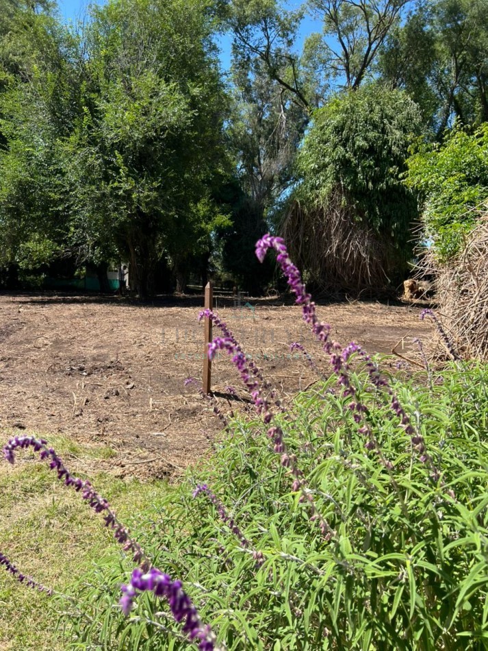 Lote en sierra de los Padres