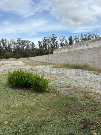 Importante Lote Ruta 88