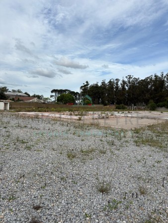 Importante Lote Ruta 88