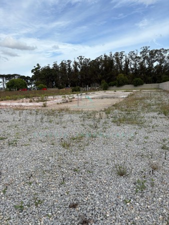 Importante Lote Ruta 88