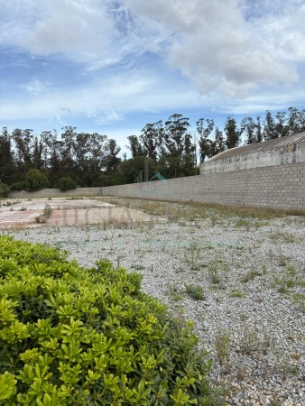 Importante Lote Ruta 88