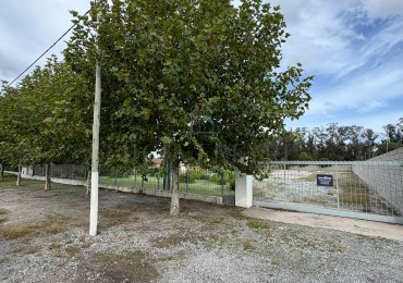 Importante Lote Ruta 88